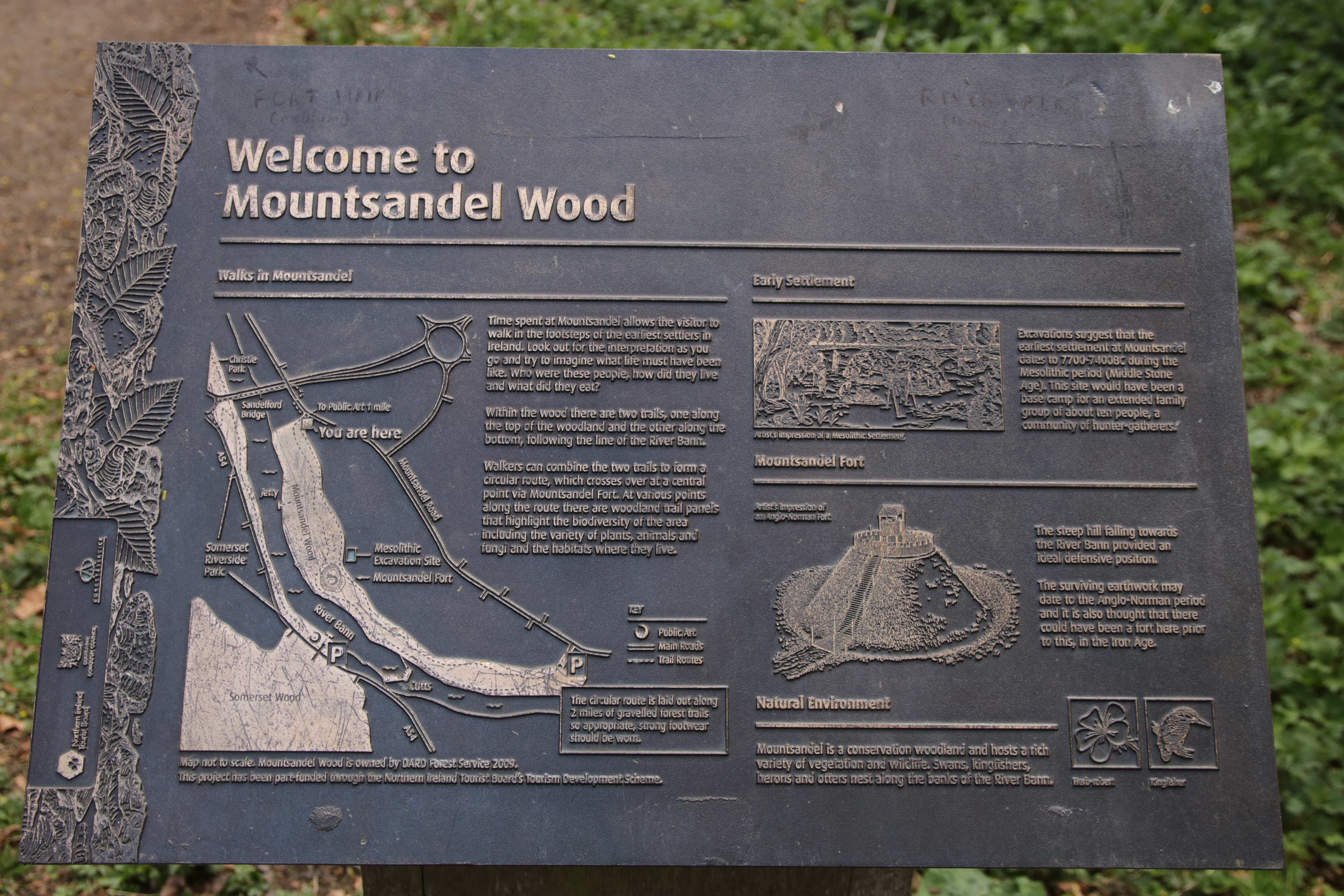 Mountsandel Wood