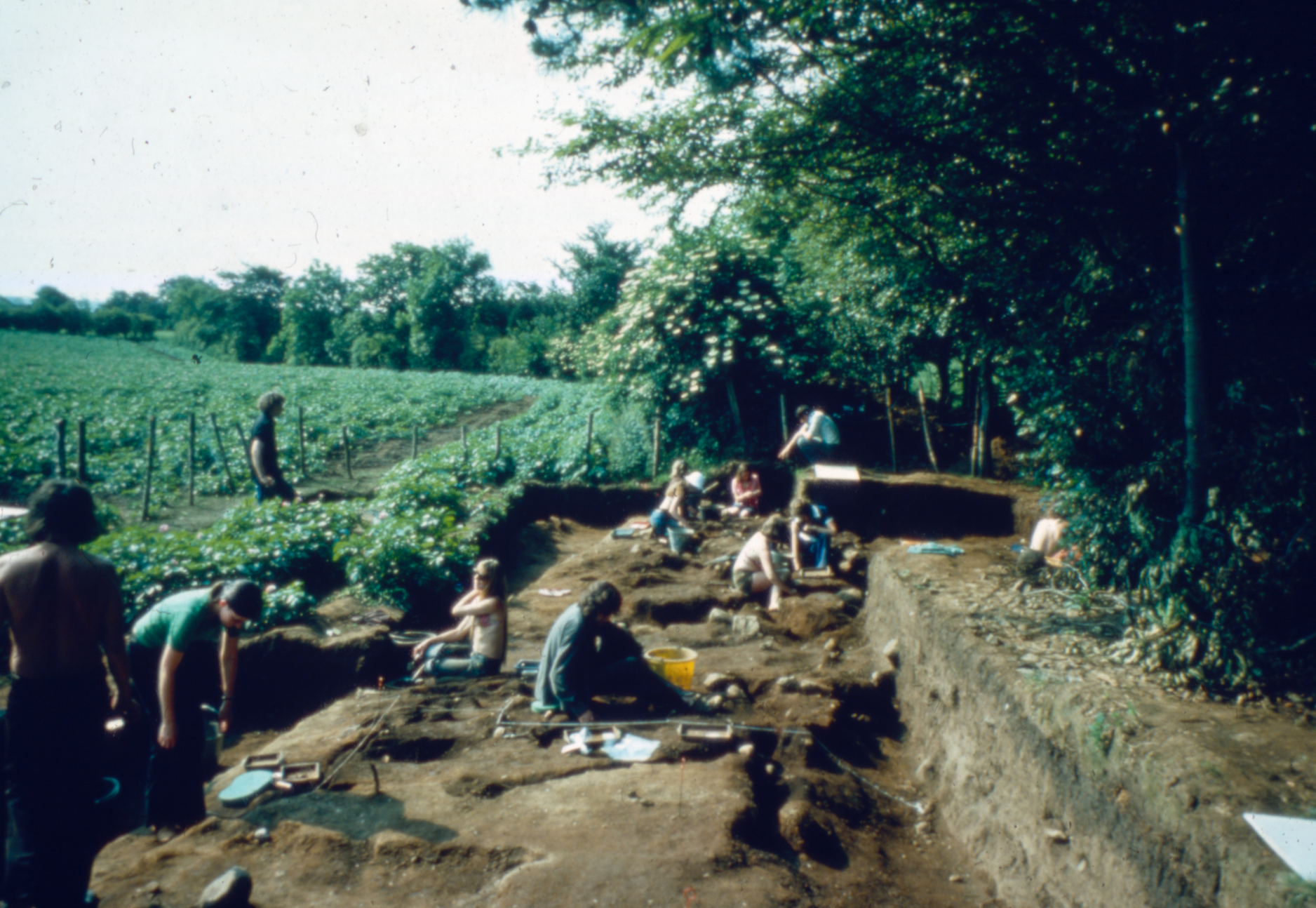 excavation image